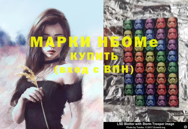 гашик Гусь-Хрустальный