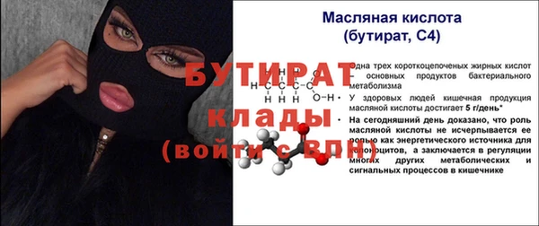 гашик Гусь-Хрустальный
