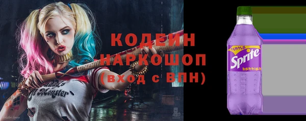 гашик Гусь-Хрустальный