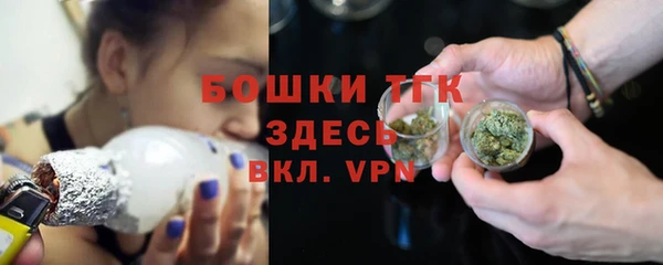 гашик Гусь-Хрустальный