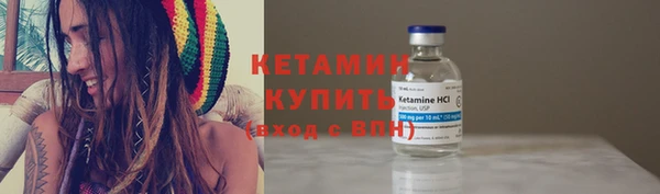 прущие грибы Алагир
