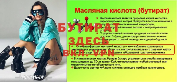 гашик Гусь-Хрустальный