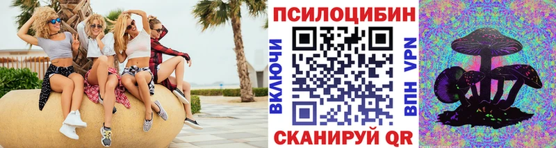 где купить   Дедовск  Галлюциногенные грибы Psilocybe 