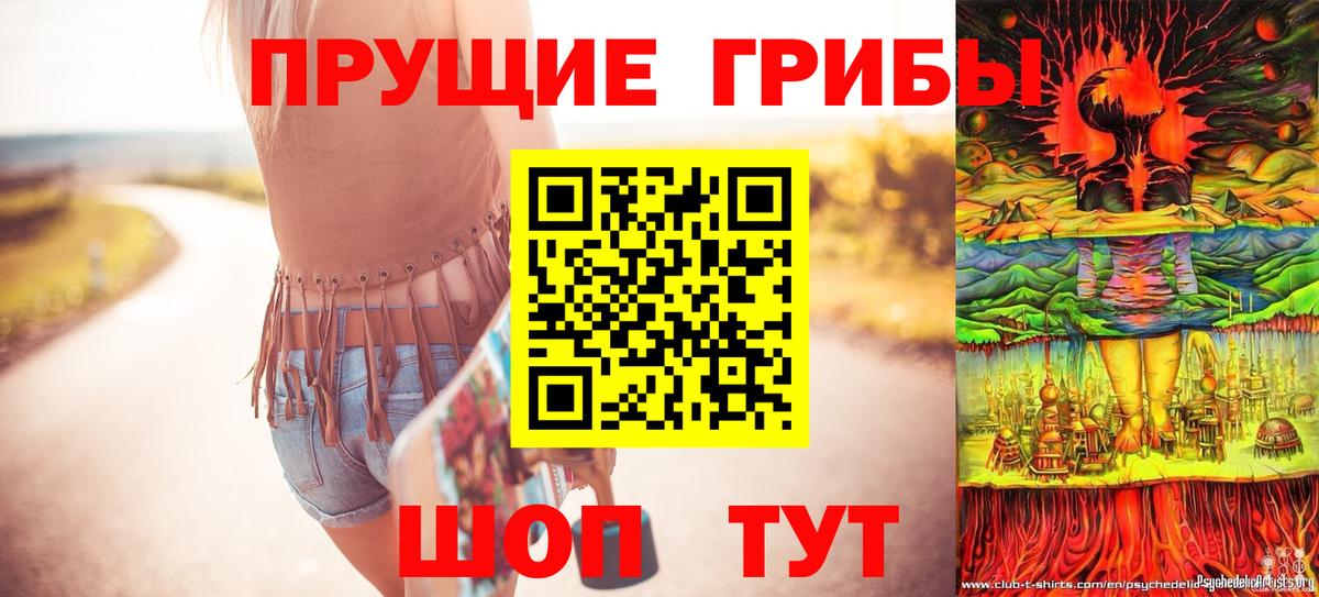 Дедовск  Псилоцибиновые грибы Psilocybe  даркнет сайт  Вход с VPN  Псилоцибиновые грибы MAGIC MUSHROOMS 