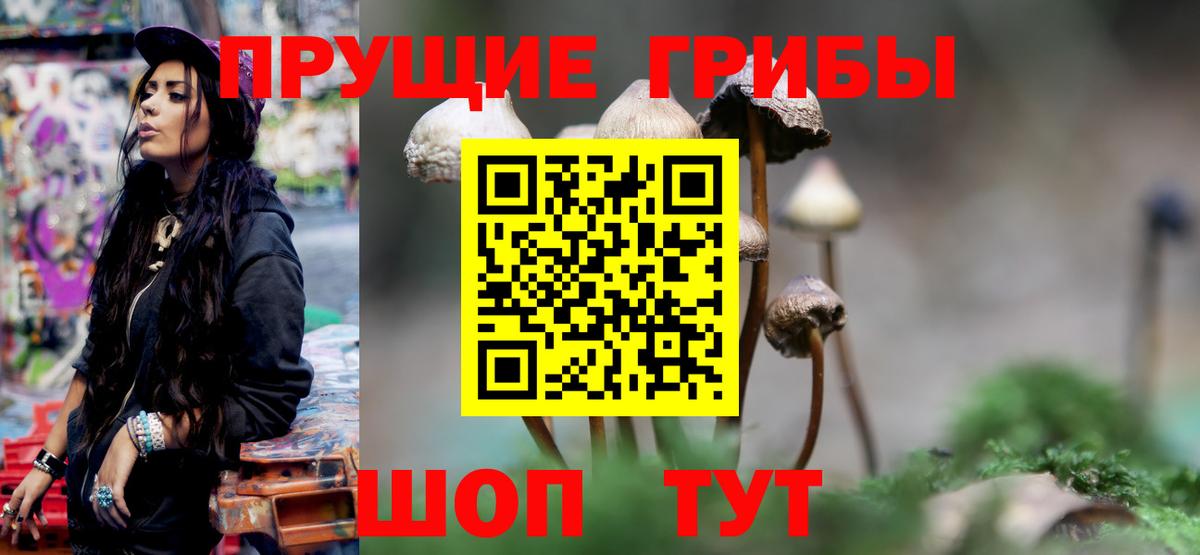 Галлюциногенные грибы GOLDEN TEACHER  Дедовск 